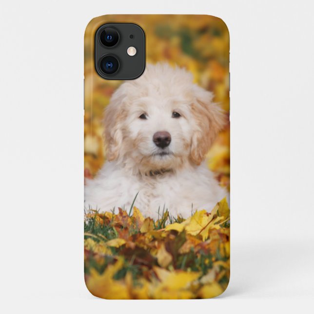 Coques Case-Mate iPhone Chiot De Goldendoodle En Feuilles D'Automne (Dos)