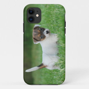 Case-Mate iPhone Case Chiot de Jack Russell Terrier
