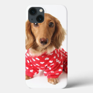 Etui iPhone 13 Chiot de teckel utilisant l'équipement de