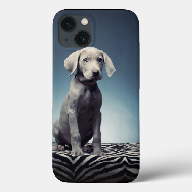 Coques Case-Mate iPhone Chiot de Weimaraner (Verso)