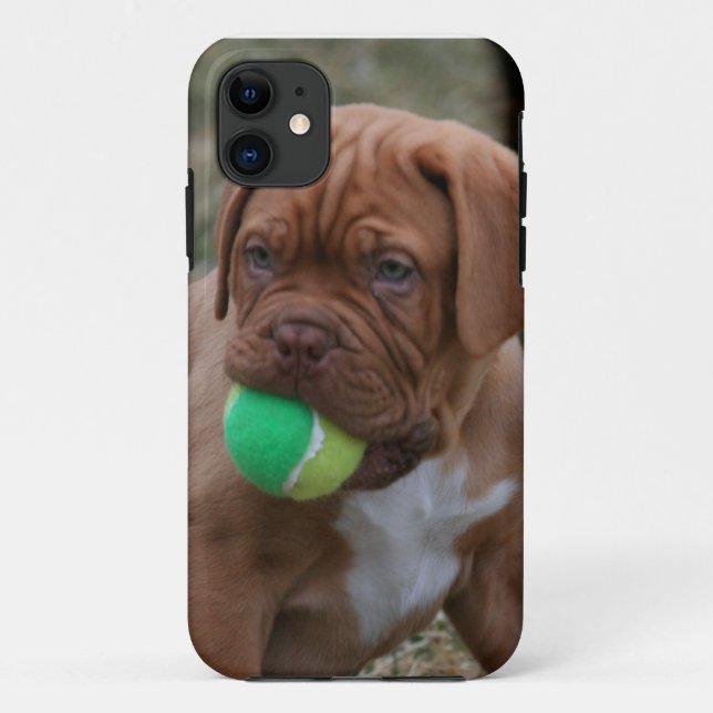 Coques Case-Mate iPhone Chiot français de mastiff (Dos)