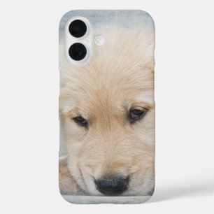 Coques iPhone 16 Chiot Golden Retriever