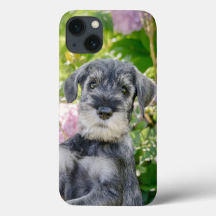 Case-Mate iPhone Case Chiot Schnauzer standard dans un jardin fleuri -