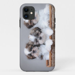Coque iPhone 11 Chiots de Shih Tzu