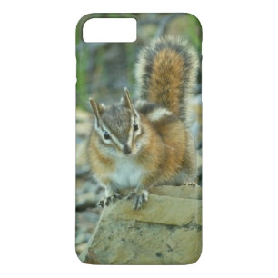 Coques Pour iPhone Chipmunk dans le parc national des Glaciers