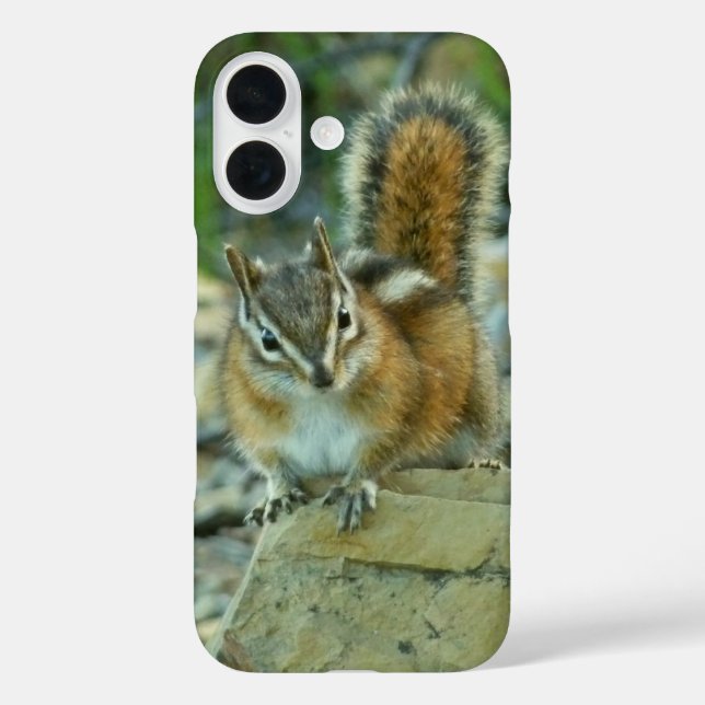 Coques Case-Mate iPhone Chipmunk dans le parc national des Glaciers (Verso)