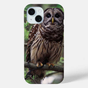 Coque Pour iPhone 15 Chouette barrée