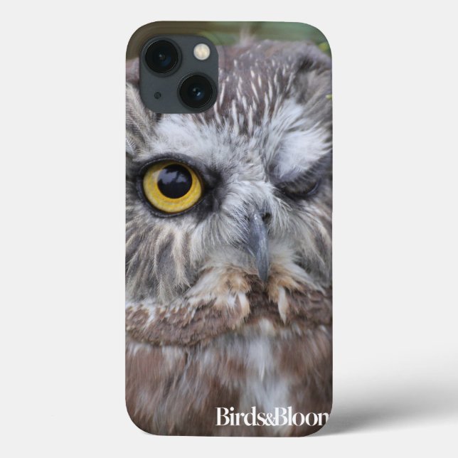 Coques Case-Mate iPhone Chouette de Saw-whet (Verso)