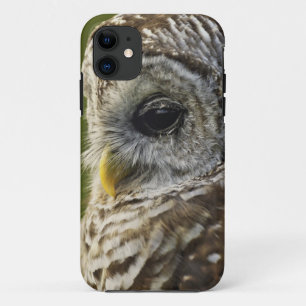 Coques Pour iPhone Chouette rayée, Strix varia, Michigan