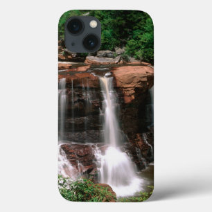 Coques Pour iPhone Chutes de Blackwater, Virginie-Occidentale, pittor
