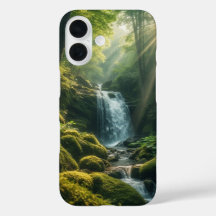 Chutes Sunlit Forest