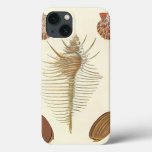 Coques Pour iPhone Cinq d'un coquillage