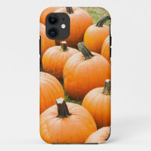 Coque iPhone 11 Citrouilles à vendre au marché d'un agriculteur
