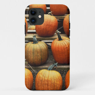 Etui iPhone Case-Mate Citrouilles d'automne