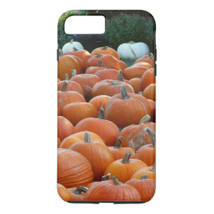 Coque Case-Mate Pour iPhone Citrouilles et Chrysanthèmes Photographie de la ré