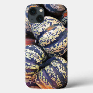 Case-Mate iPhone Case Citrouilles rayées rustiques