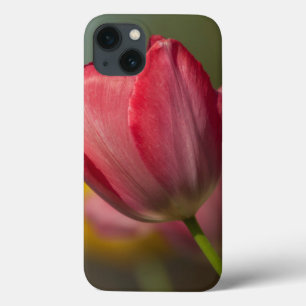 Etui iPhone 13 Close-up of red and yellow tulips in garden