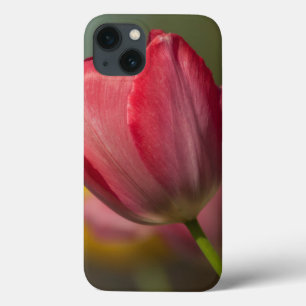 iPhone 13 Case Close-up of red and yellow tulips in garden