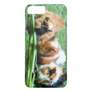 Case-Mate iPhone Case Cobaye abyssinienne