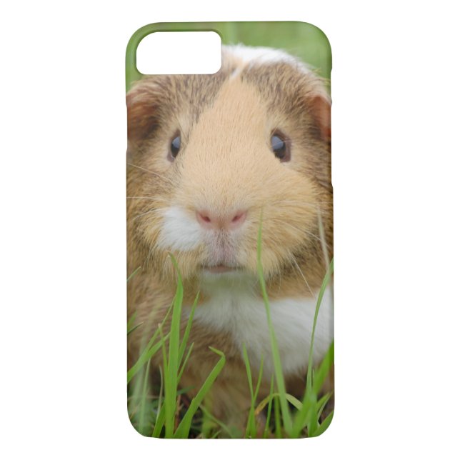 Coques Case-Mate iPhone Cobaye domestique mignon (Dos)