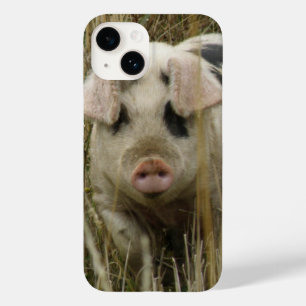 Coques Pour iPhone Cochon mignon