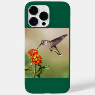 Coque Pour Pour iPhone 14 Pro Max Colibri à gorge rubis
