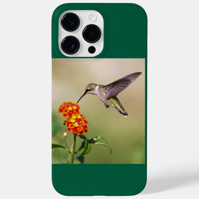 Coques Case-Mate iPhone Colibri à gorge rubis (Verso)
