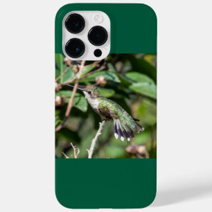 Coque Pour Pour iPhone 14 Pro Max Colibri à gorge rubis