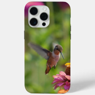 Coque iPhone 15 Pro Max Colibri aux fleurs de Zinnnia