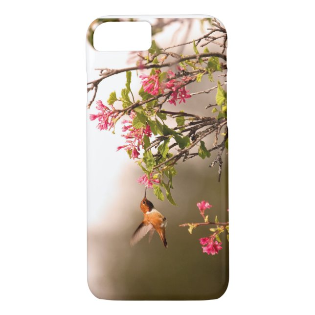 Coques Case-Mate iPhone Colibri et fleurs (Dos)