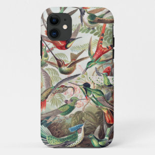 Case-Mate iPhone Case Colibri, Trochilidae Kolibris par Ernst Haeckel