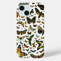 Collage des papillons de nuit et des papillons de