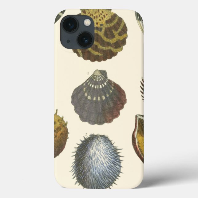 Coques Case-Mate iPhone Collection Conchology (Verso)