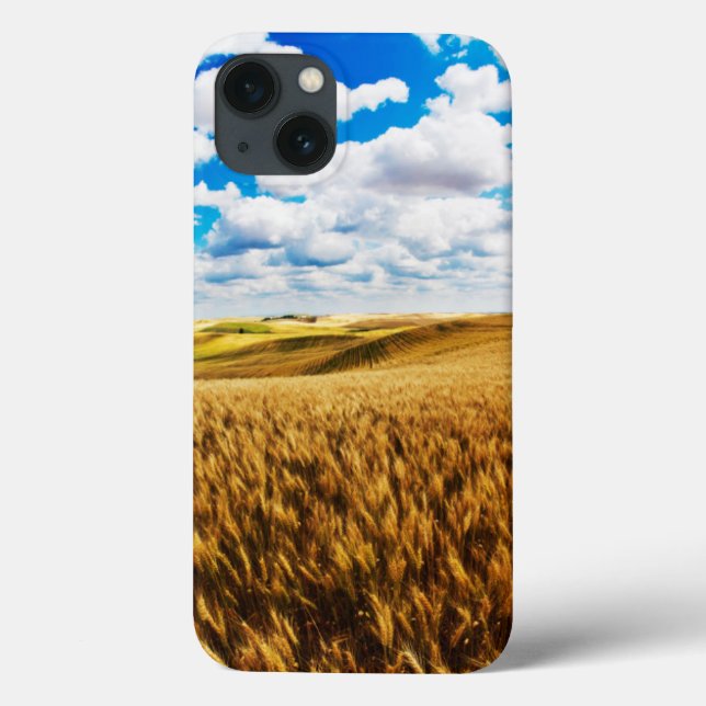 Coques Case-Mate iPhone Collines à rouleaux de blé mûr (Verso)