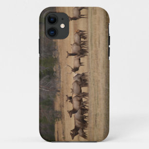 Coque iPhone 11 Colorado Elk iPhone 5