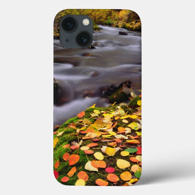 Coques Case-Mate iPhone Colours d'automne le long de McGee Creek (Verso)