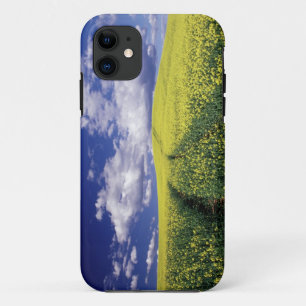 Coque iPhone 11 Colza jaune dans le comté de Whitman, État de Wash
