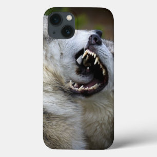 Coques Pour iPhone Combat de loup