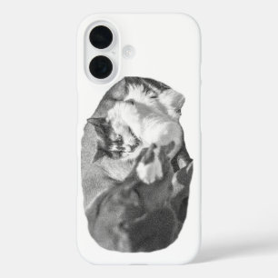 Coques iPhone 16 Compagnons de porche ombragés