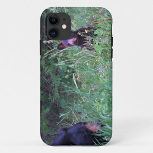 Coque Case-Mate Pour iPhone Conception de l'ours pour les animaux et les anima
