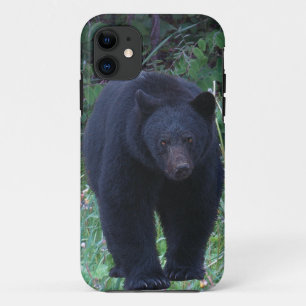 Coque Case-Mate Pour iPhone Conception de l'ours pour les animaux et les anima