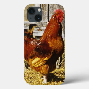 Case-Mate iPhone Case Coq de rouge d'île de Rhode
