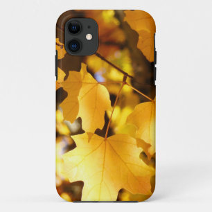 Coques iPhone 5 Jaune Feuilles d'arbre d'automne A