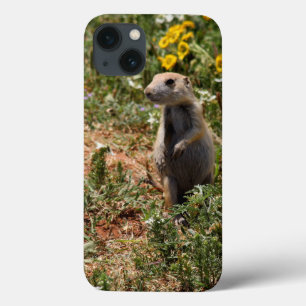 Coques iphone de chiens de prairie solo