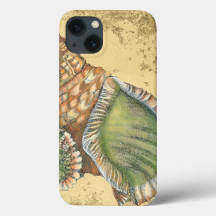 iPhone 13 Case Coquillage Brown et vert