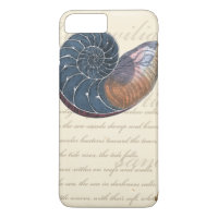 Coquillage romantique