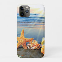 Coquillages marins et étoiles de mer sur la plage