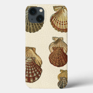 iPhone 13 Coque Coquilles antiques craquelées