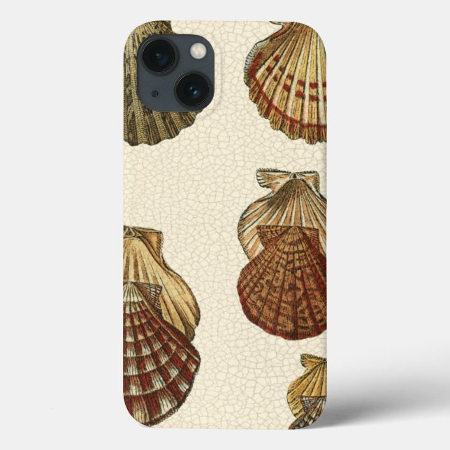 Coques Case-Mate iPhone Coquilles antiques crépitées (Verso)