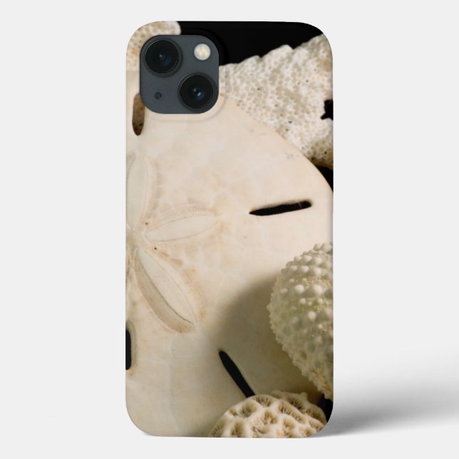 Coques Case-Mate iPhone Coquilles blanches et dollar de sable (Verso)
